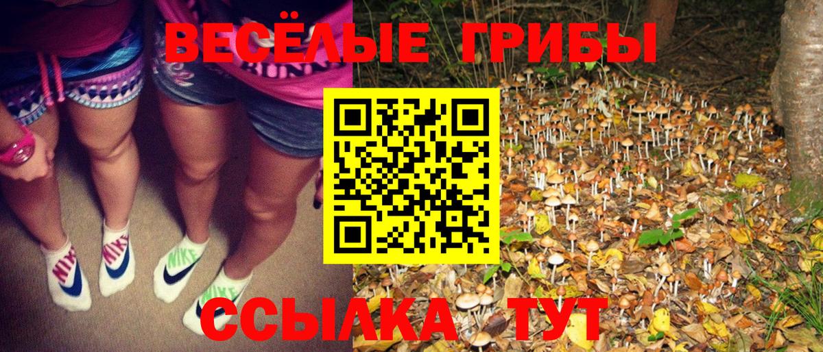 купить закладку  Псилоцибиновые грибы Psilocybine cubensis  Псилоцибиновые грибы Psilocybe  Вход с VPN  Белорецк 